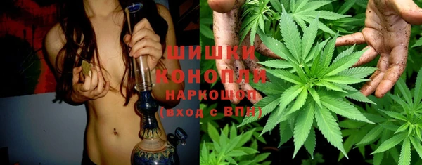 каннабис Гусев