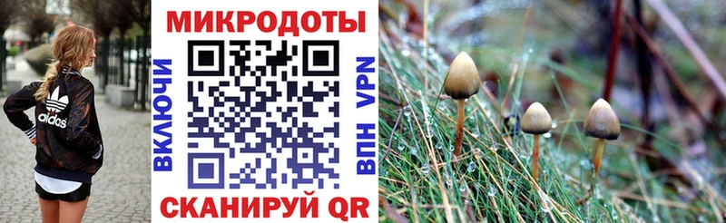 Галлюциногенные грибы GOLDEN TEACHER  что такое   hydra рабочий сайт  Корсаков 