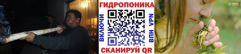 Конопля семена  kraken онион  Корсаков  где купить наркоту 